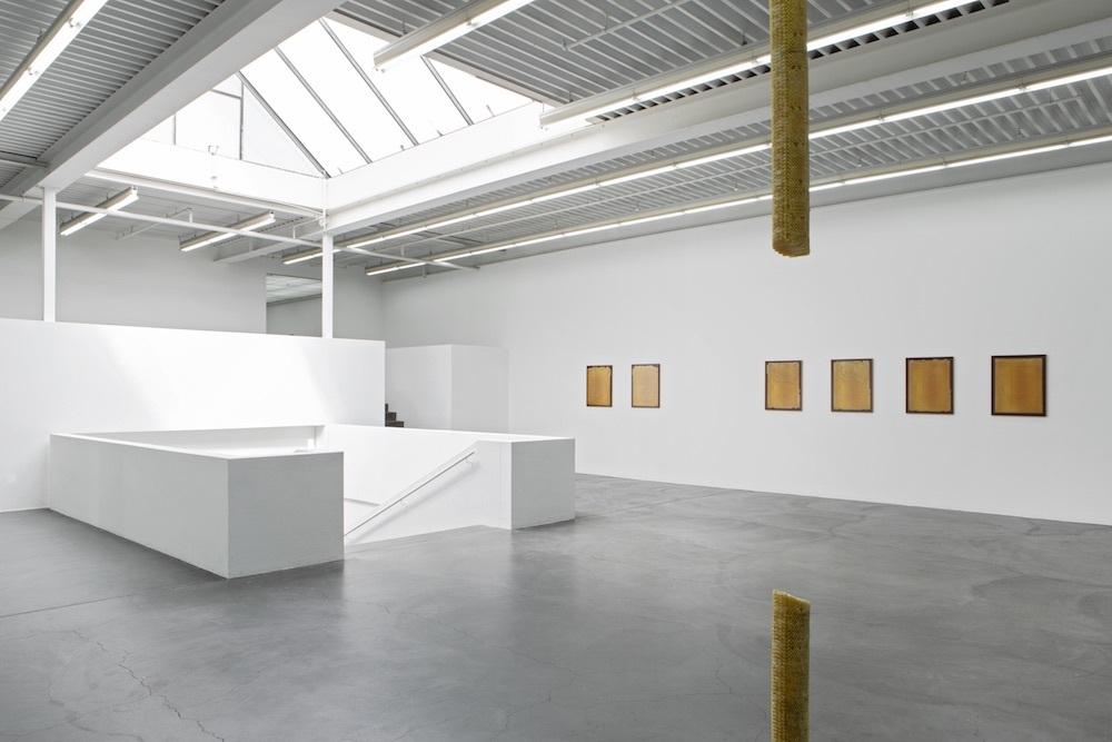 Beehave, Installation View: Kunsthaus Baselland 2018, Foto: Gina Folly