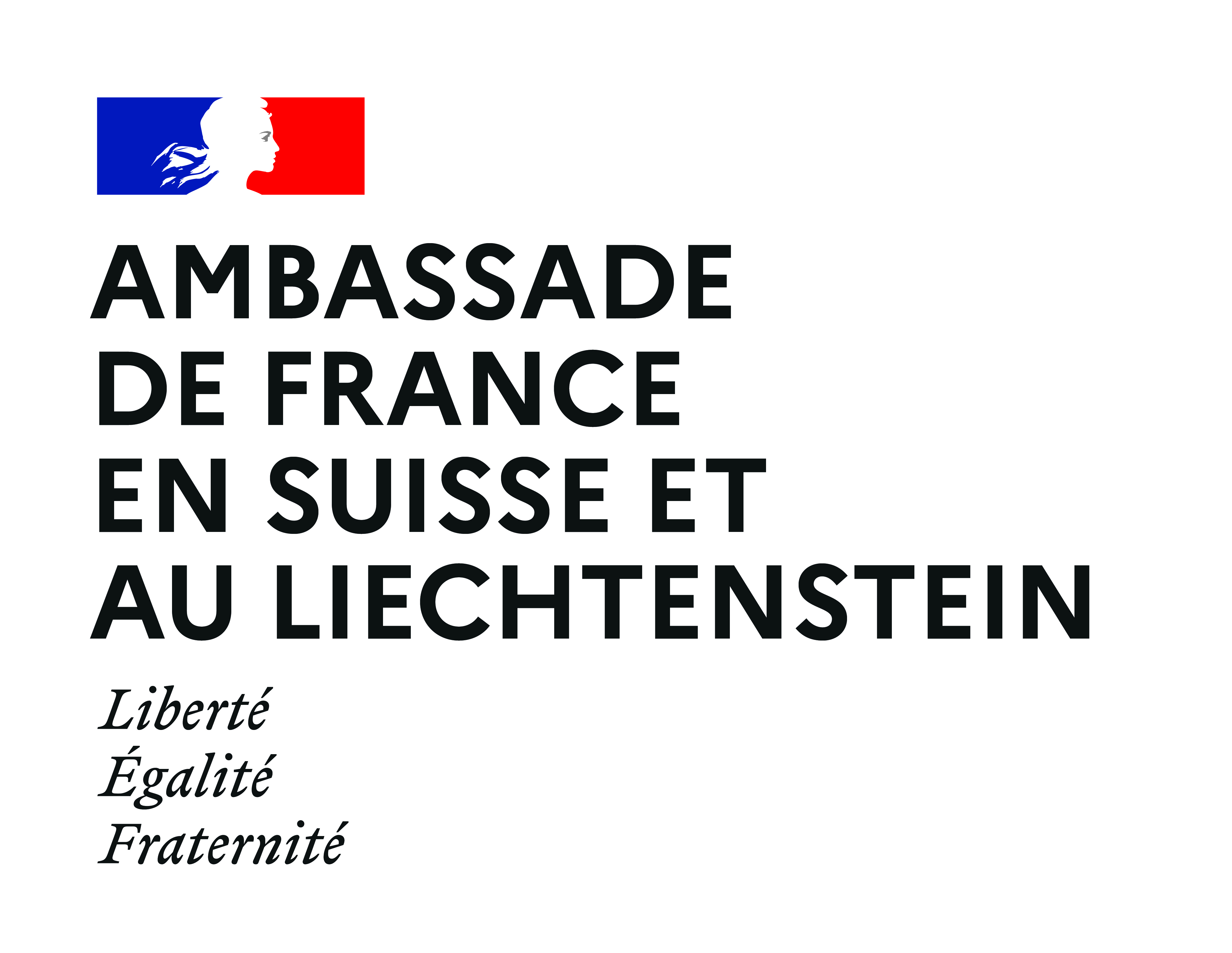 Logo Amb Suisse Liechtenstein